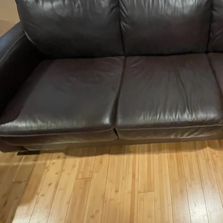 Leather Color Restoration After